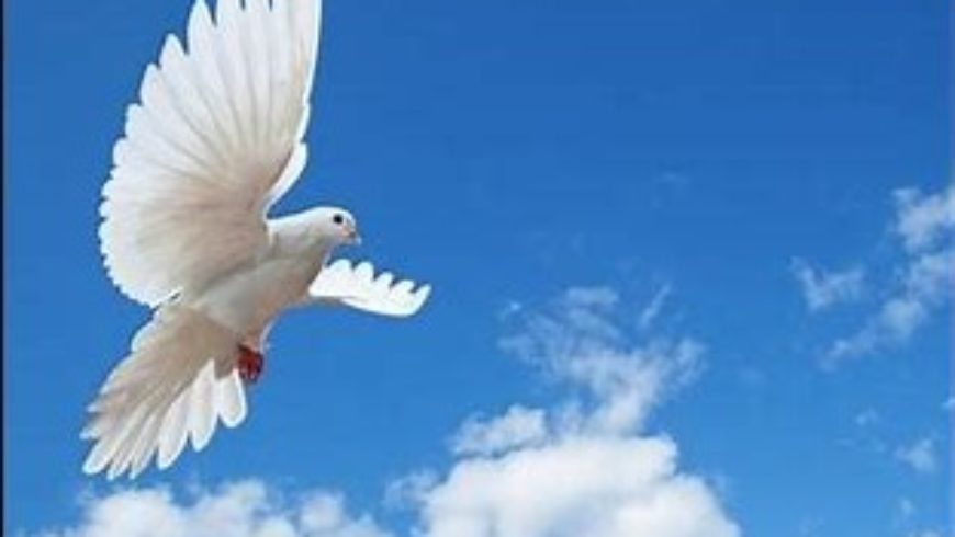 Lettera di Pasqua 2020